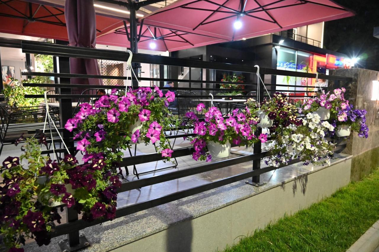 Hotel Vino 4*